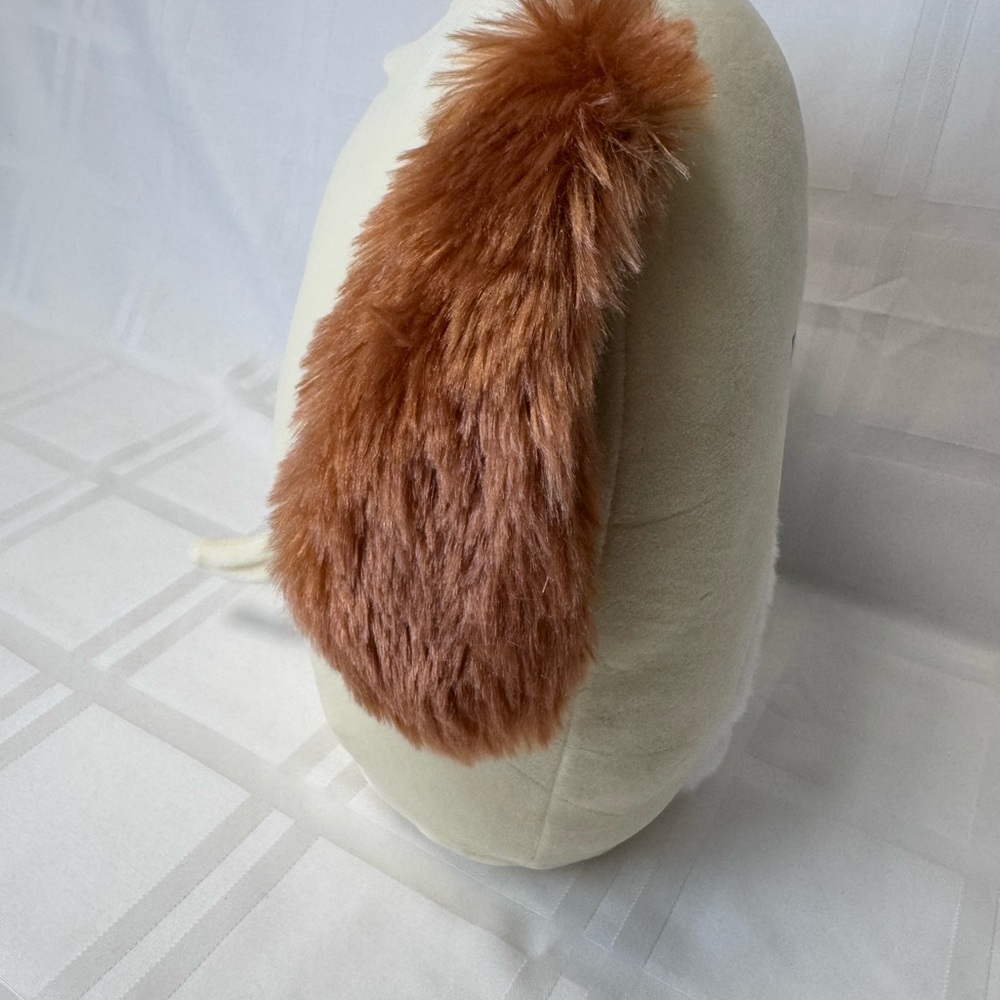 Harris the dog by Squishmallows - Picture 6 of 7